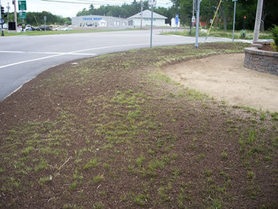 Bark Blower Rental 1 Working